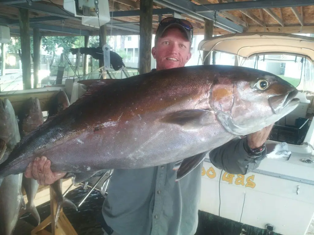 A happy angler holding a large amberjack caught aboard The Reel Contender