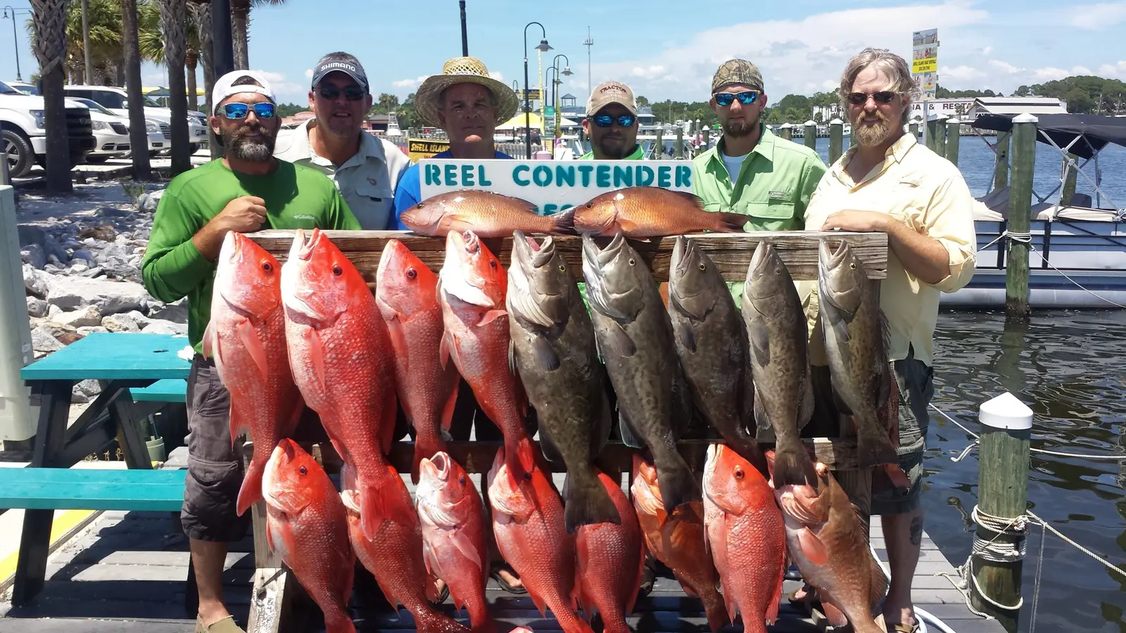 Red snapper and king mackerel from a recent charter (18)