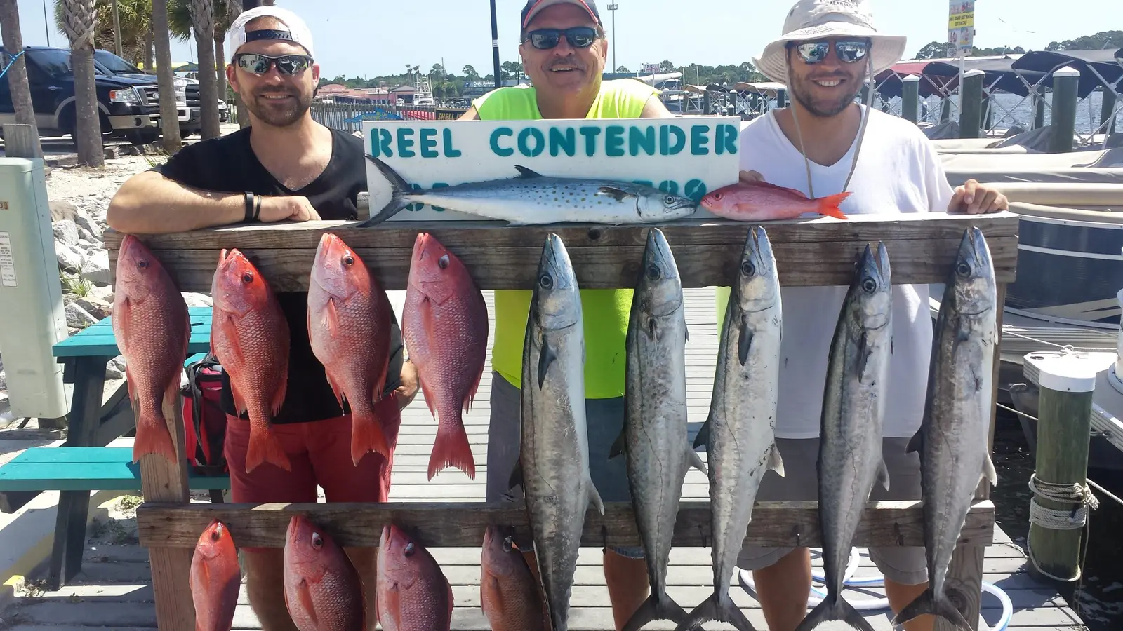 Red snapper and king mackerel from a recent charter (33)