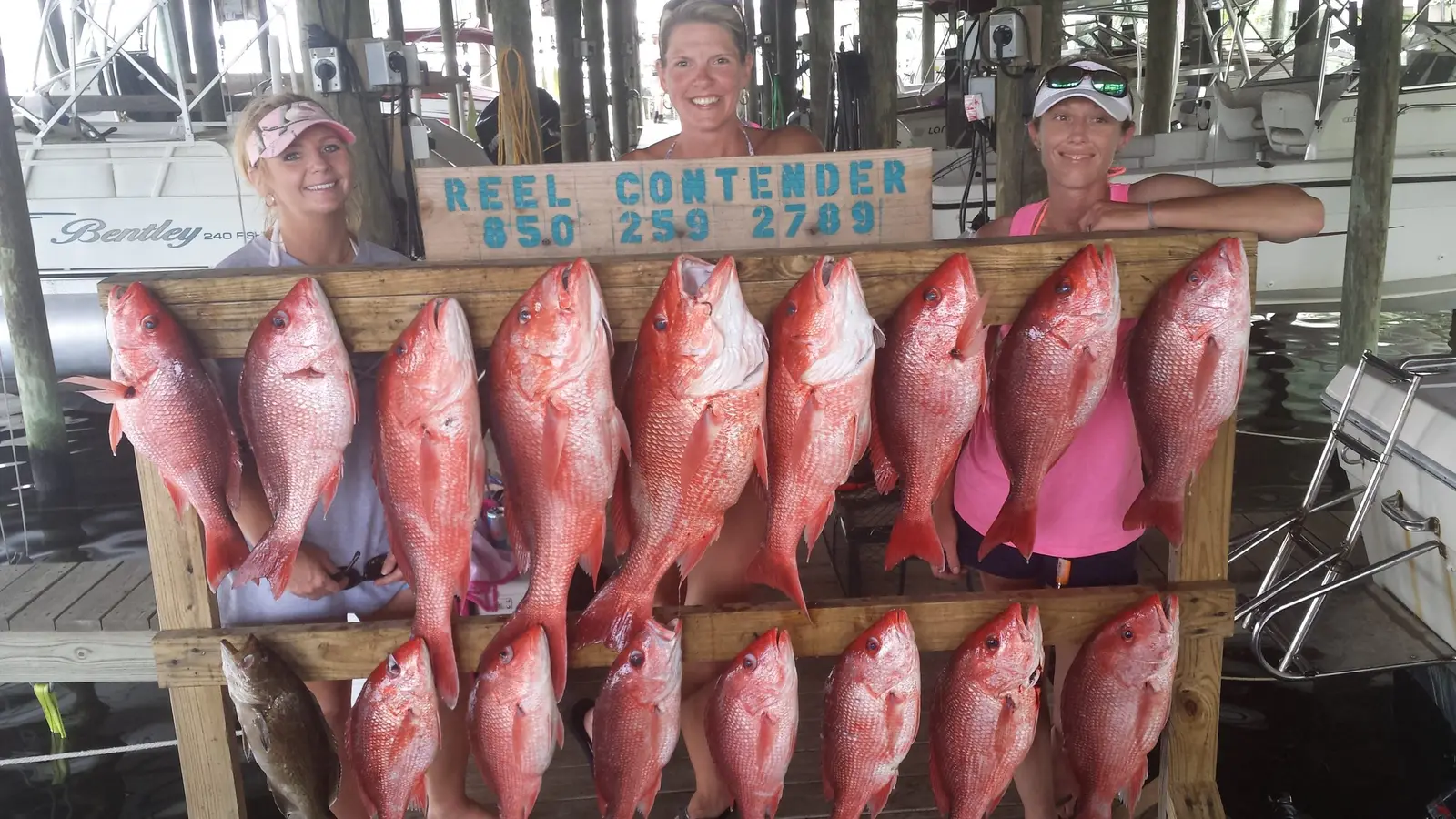 A day's catch aboard The Reel Contender (36)